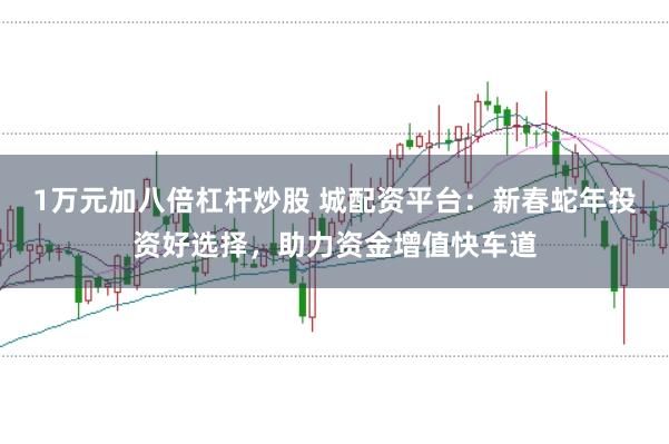 1万元加八倍杠杆炒股 城配资平台：新春蛇年投资好选择，助力资金增值快车道
