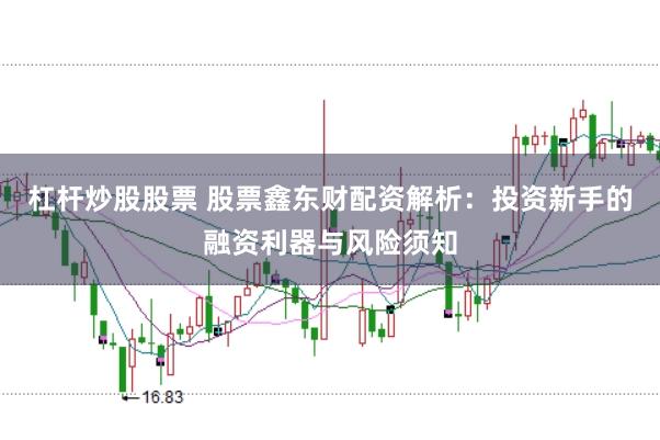 杠杆炒股股票 股票鑫东财配资解析：投资新手的融资利器与风险须知