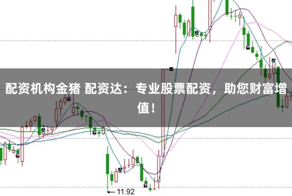 配资机构金猪 配资达：专业股票配资，助您财富增值！