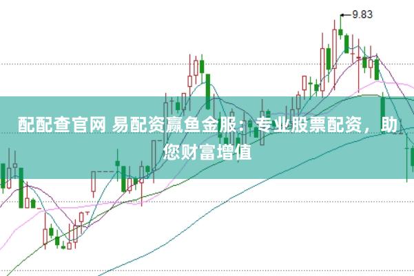 配配查官网 易配资赢鱼金服：专业股票配资，助您财富增值