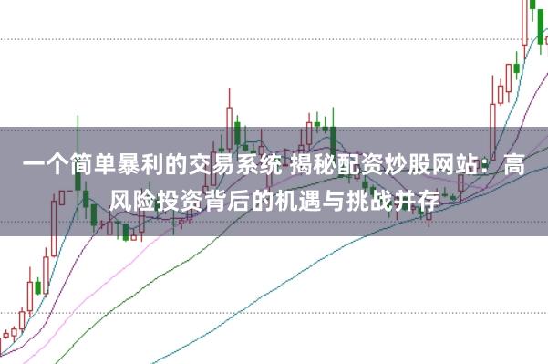 一个简单暴利的交易系统 揭秘配资炒股网站：高风险投资背后的机遇与挑战并存