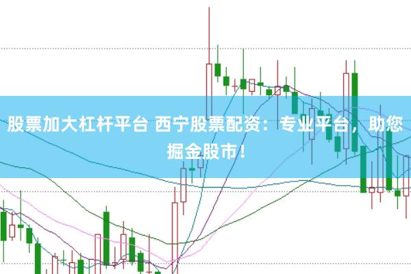 股票加大杠杆平台 西宁股票配资：专业平台，助您掘金股市！