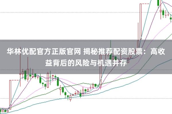 华林优配官方正版官网 揭秘推荐配资股票：高收益背后的风险与机遇并存
