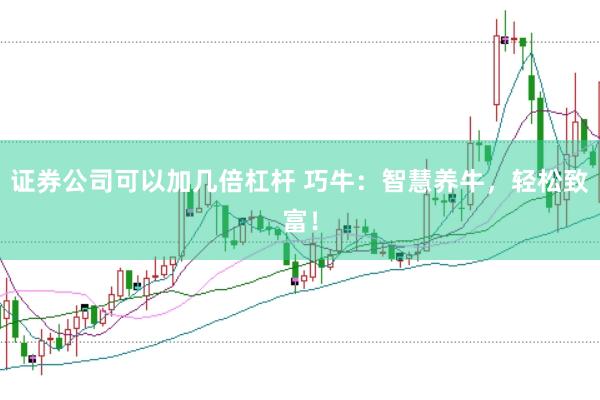 证券公司可以加几倍杠杆 巧牛：智慧养牛，轻松致富！