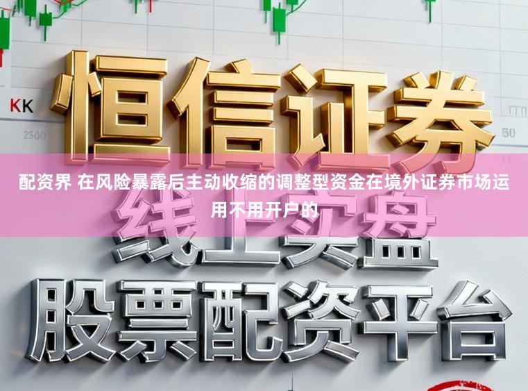 配资界 在风险暴露后主动收缩的调整型资金在境外证券市场运用不用开户的