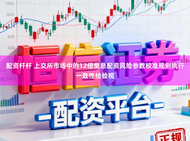 配资杆杆 上交所市场中的12倍免息配资风险参数校准规则执行一致性检验视